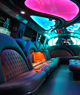 limo privacy shades